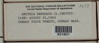 Image Associated With the Occurence